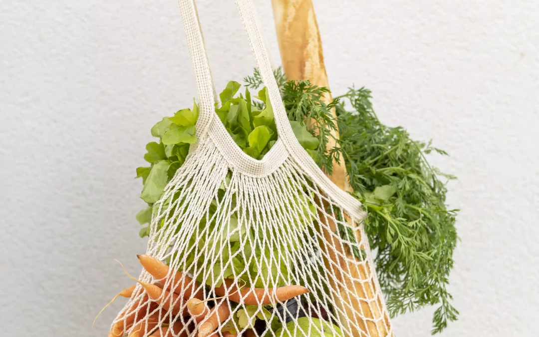 VUELVE A TUS ORÍGENES