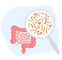MICROBIOTA INTESTINAL, PROBIÓTICOS Y PREBIÓTICOS