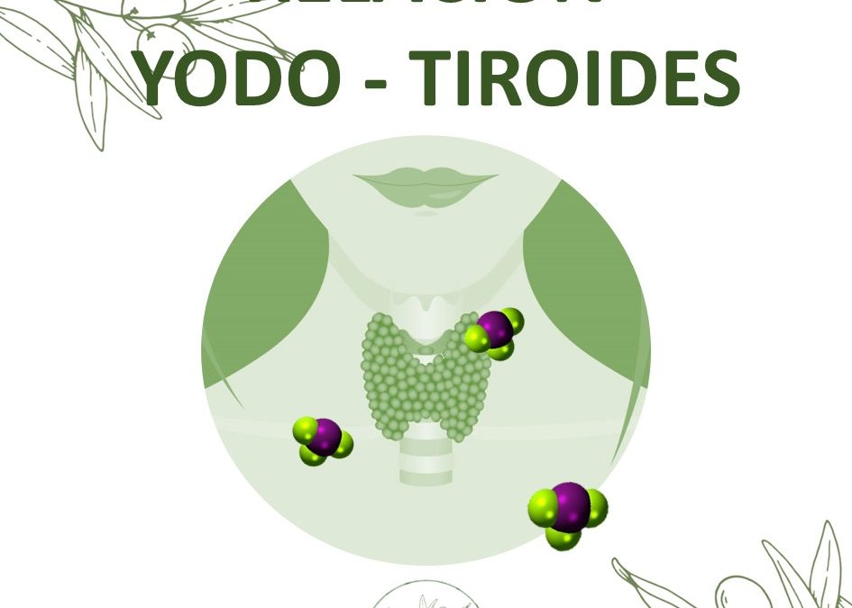 TIROIDES RELACIÓN CON EL YODO