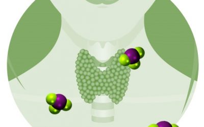 TIROIDES RELACIÓN CON EL YODO