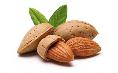 FRUTOS SECOS DE OTOÑO